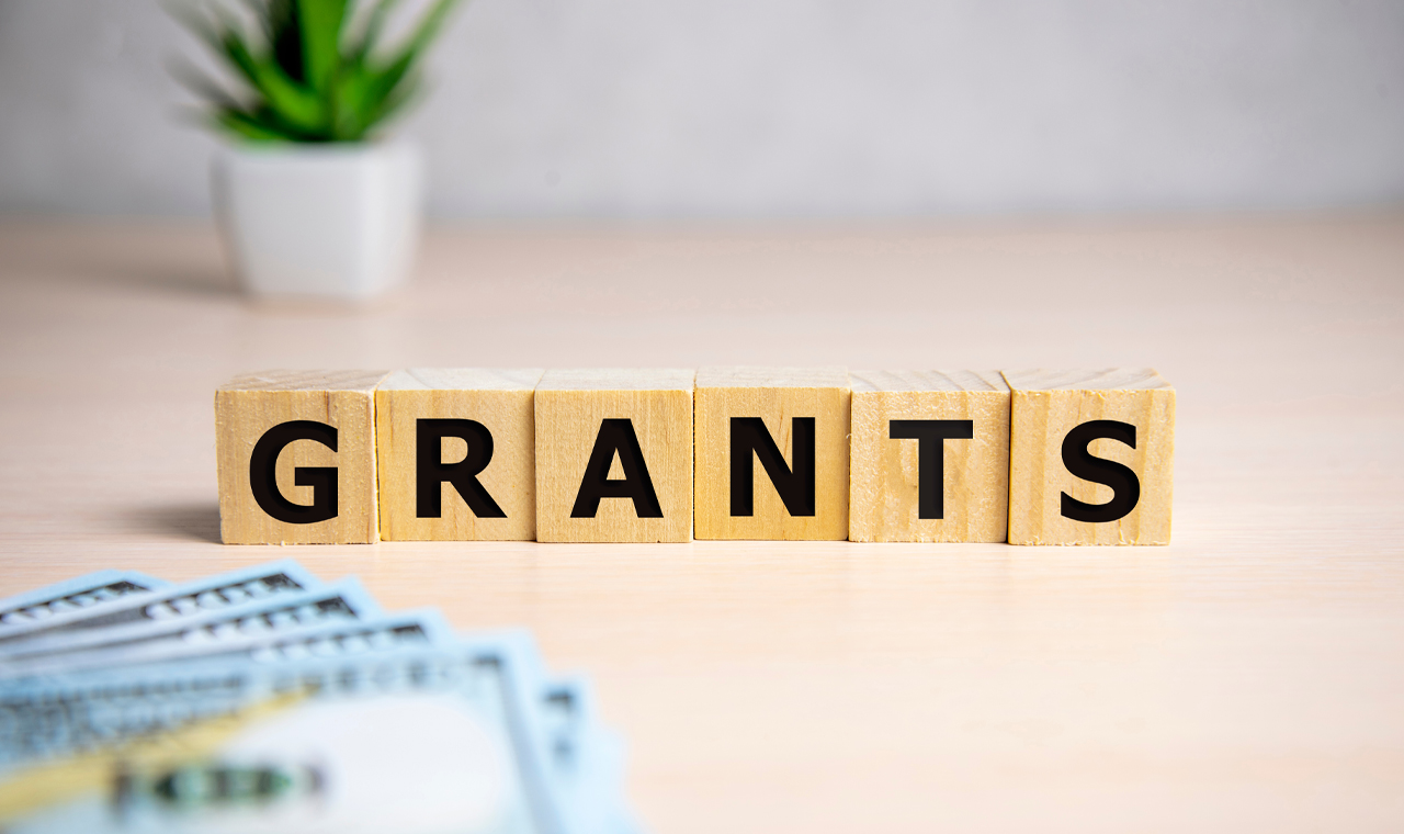 NGO grant management